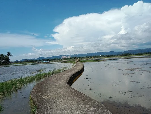 Jalan di Dusun Gollae, Desa Alatengae menuju perkampungan di Ca